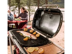 Weber Gasgrills|Campingzubehör|Camping-Gasgrill Traveler mit 1 Brenner und Rollwagen Schwarz