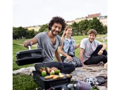 Gasgrill Go-Anywhere 1 Brenner Schwarz*Weber Online