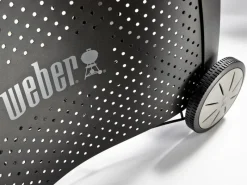 Weber Gasgrills|Gasgrill Q 3200 Black Line mit 2 Brennern