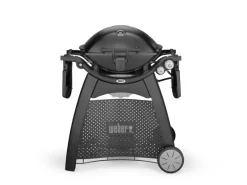 Weber Gasgrills|Gasgrill Q 3200 Black Line mit 2 Brennern