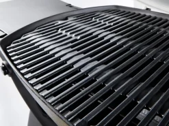 Weber Gasgrills|Gasgrill Q 3200 Black Line mit 2 Brennern