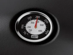 Weber Gasgrills|Gasgrill Q 3200 Black Line mit 2 Brennern