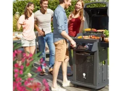 Weber Gasgrills|Gasgrill Spirit E-220 Classic mit 2 Brennern und Seitenbrenner Schwarz