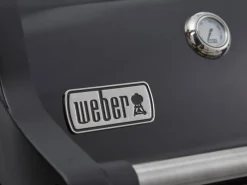 Weber Gasgrills|Gasgrill Spirit E-325 GBS mit 3 Brennern und Seitenbrenner Schwarz