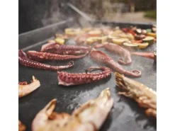 Weber Gasgrills|Slate GPD 76cm Premium Plancha