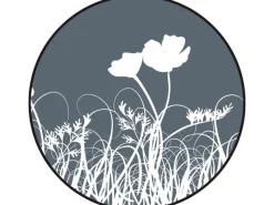 Balkon- und Terrassen-Sichtschutz Anthrazit*Wenko Discount