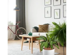 Tongranulat Blähton 5 l*Westland New