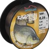 Zielfischschnur Karpfen 0,25 mm*Westline Outlet