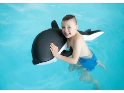 Pool Buddy Delfin Grau Weiß*Westmann Outlet