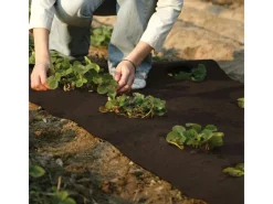 Winterschutz Kokosmatte Dunkelbraun 50 cm x 150 cm*Videx Garden Sale