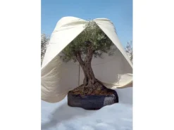 Videx Weitere Gartenhelfer|Winterschutz Vlieshaube Mediterran Beige 350 cm x 250 cm