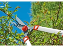 Wolf Garten Heckenscheren|Wolf-Garten Teleskop-Heckenschere HS 1000 T